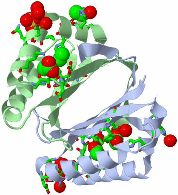 Image Asym./Biol. Unit - sites