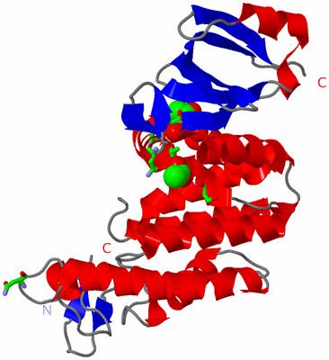 Image Asym./Biol. Unit - sites