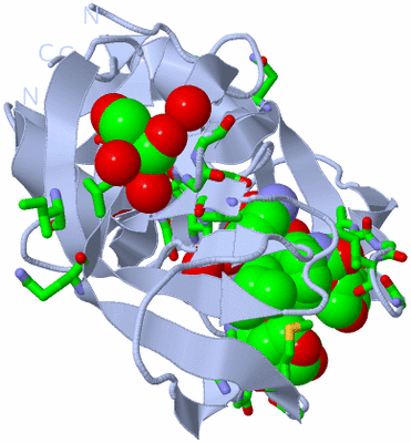 Image Biol. Unit 1 - sites