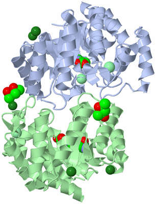 Image Asym./Biol. Unit