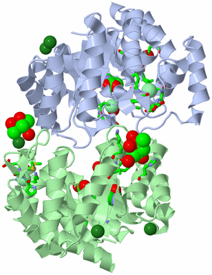 Image Asym./Biol. Unit - sites