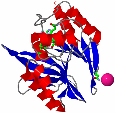 Image Asym./Biol. Unit - sites