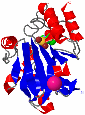 Image Asym./Biol. Unit