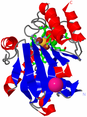 Image Asym./Biol. Unit - sites