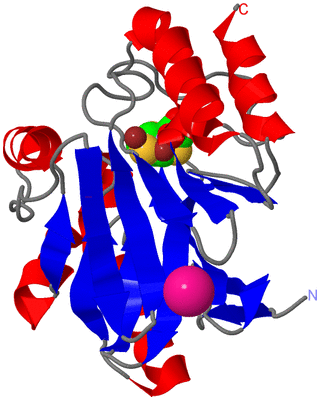 Image Asym./Biol. Unit