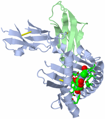 Image Biol. Unit 1 - sites