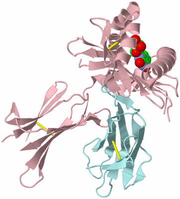 Image Biological Unit 2