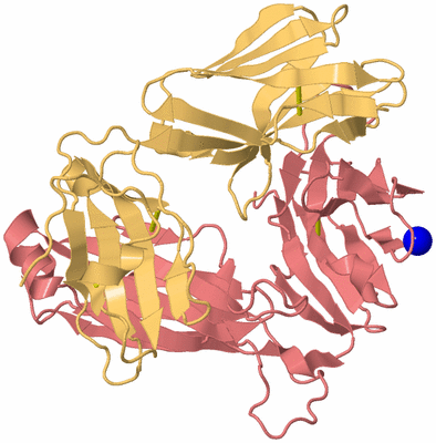 Image Biological Unit 4