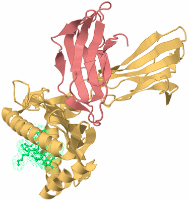 Image Biological Unit 4