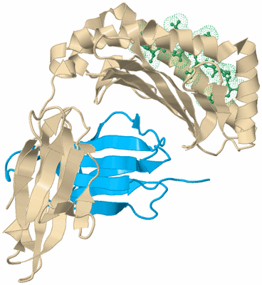 Image Biological Unit 5