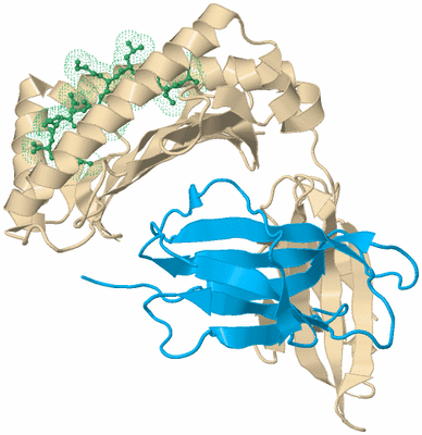 Image Biological Unit 5