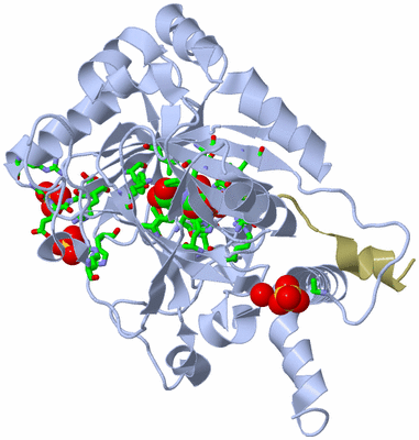 Image Asym./Biol. Unit - sites