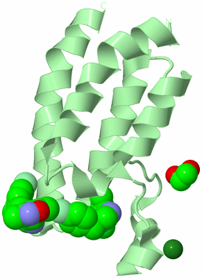 Image Biological Unit 2