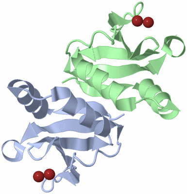 Image Biological Unit 3