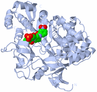 Image Biological Unit 1