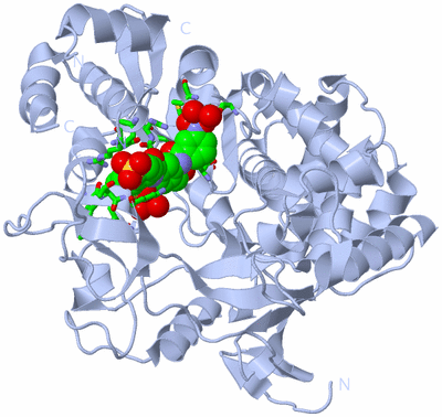 Image Biol. Unit 1 - sites