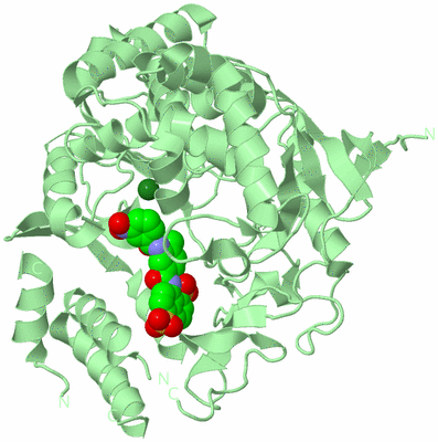 Image Biological Unit 2