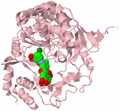 Image Biological Unit 3