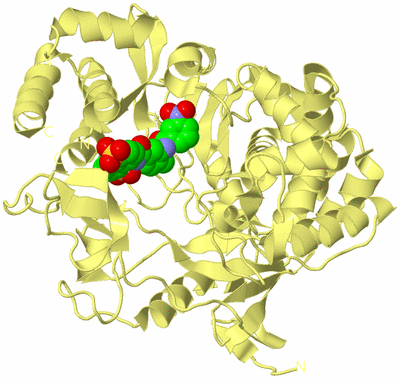 Image Biological Unit 4