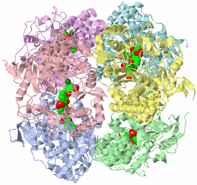 Image Biological Unit 7