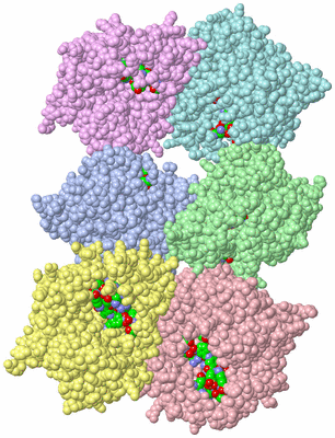 Image Asym. Unit - sites