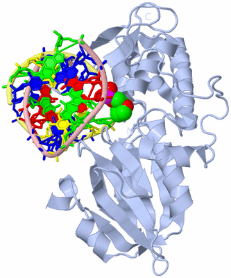 Image Biological Unit 1