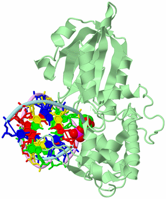 Image Biological Unit 2