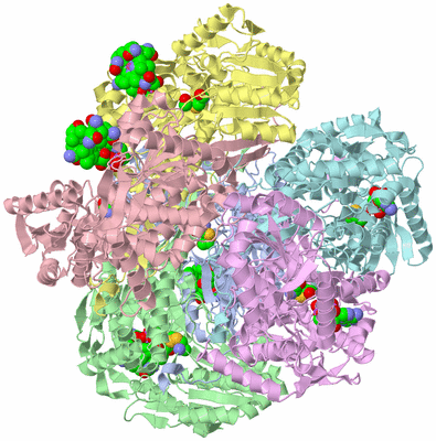 Image Asym./Biol. Unit