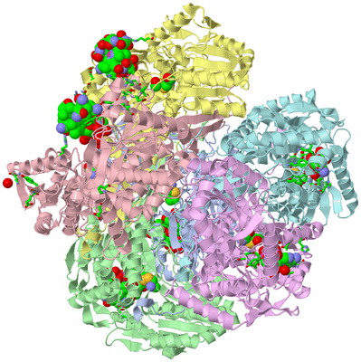 Image Asym./Biol. Unit - sites