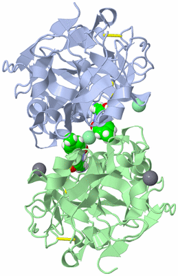 Image Asym./Biol. Unit