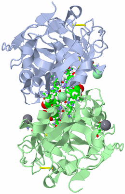 Image Asym./Biol. Unit - sites