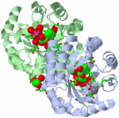 Image Asym./Biol. Unit - sites