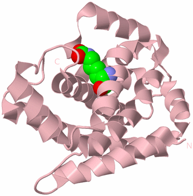 Image Biological Unit 3