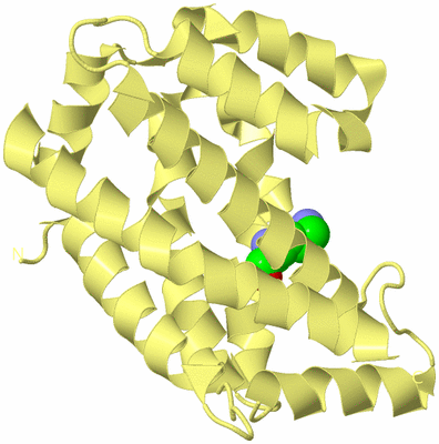 Image Biological Unit 4