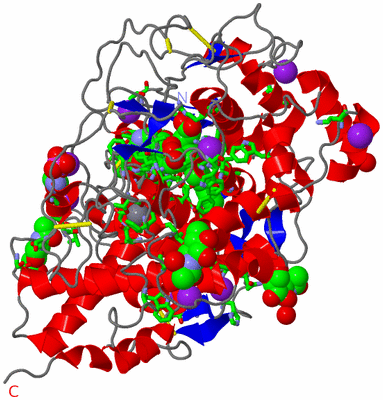 Image Asym./Biol. Unit - sites