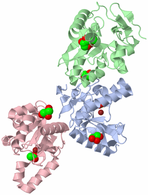 Image Biological Unit 1