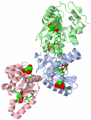 Image Biol. Unit 1 - sites