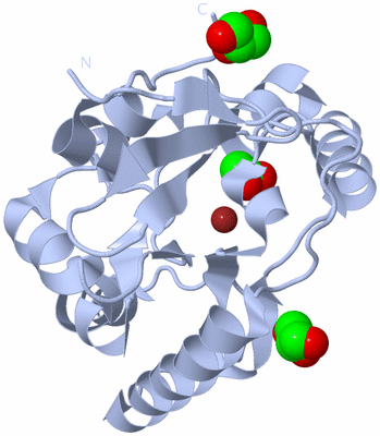 Image Biological Unit 3