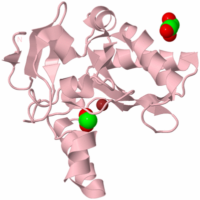 Image Biological Unit 4