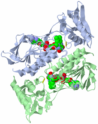 Image Asym./Biol. Unit