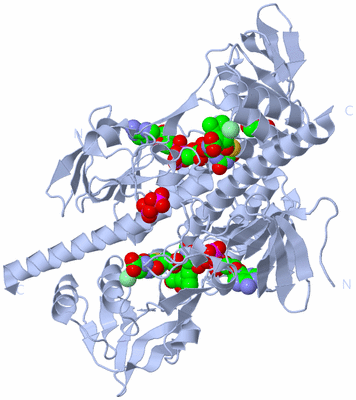 Image Biological Unit 1