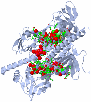 Image Biol. Unit 1 - sites