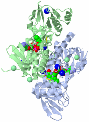 Image Asym./Biol. Unit