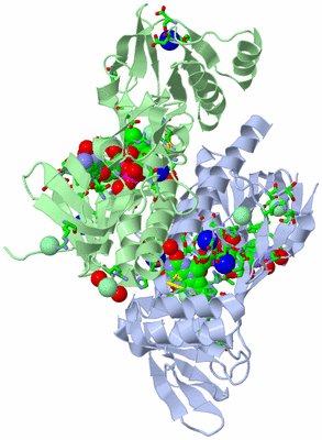 Image Asym./Biol. Unit - sites