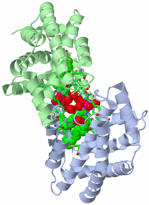 Image Asym. Unit - sites