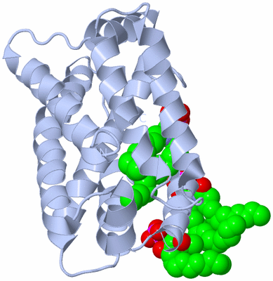 Image Biological Unit 1