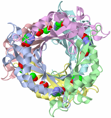 Image Asym./Biol. Unit