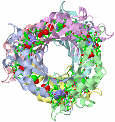 Image Asym./Biol. Unit - sites