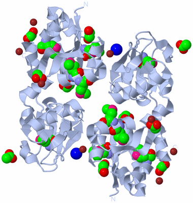 Image Biological Unit 1