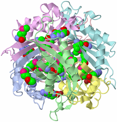 Image Asym./Biol. Unit